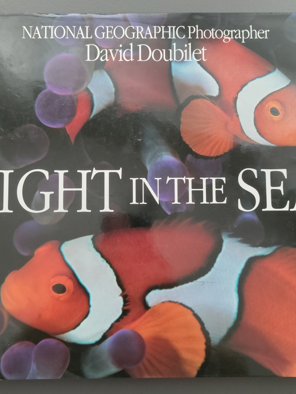 Light in the Sea